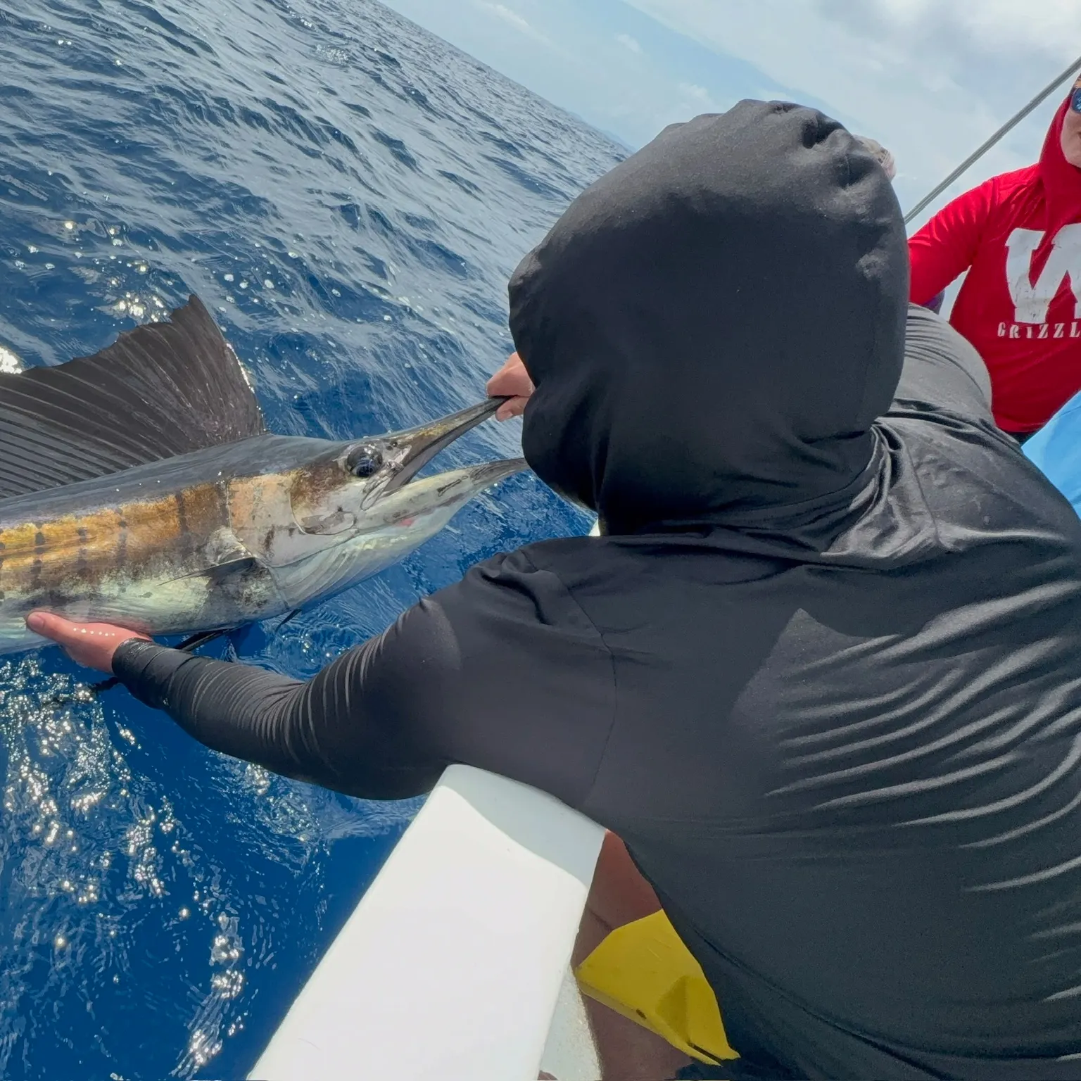 The most recent Indo-Pacific sailfish catches on Fishbrain