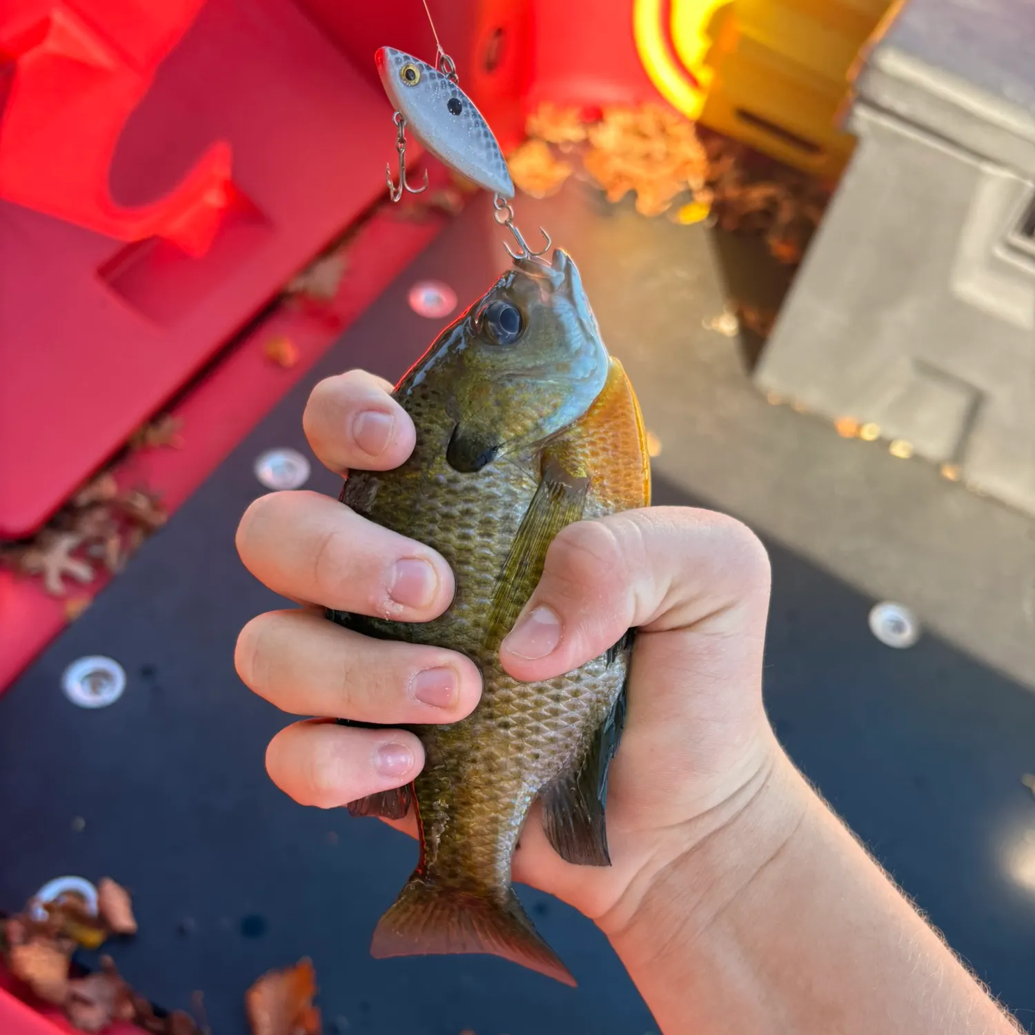 catch