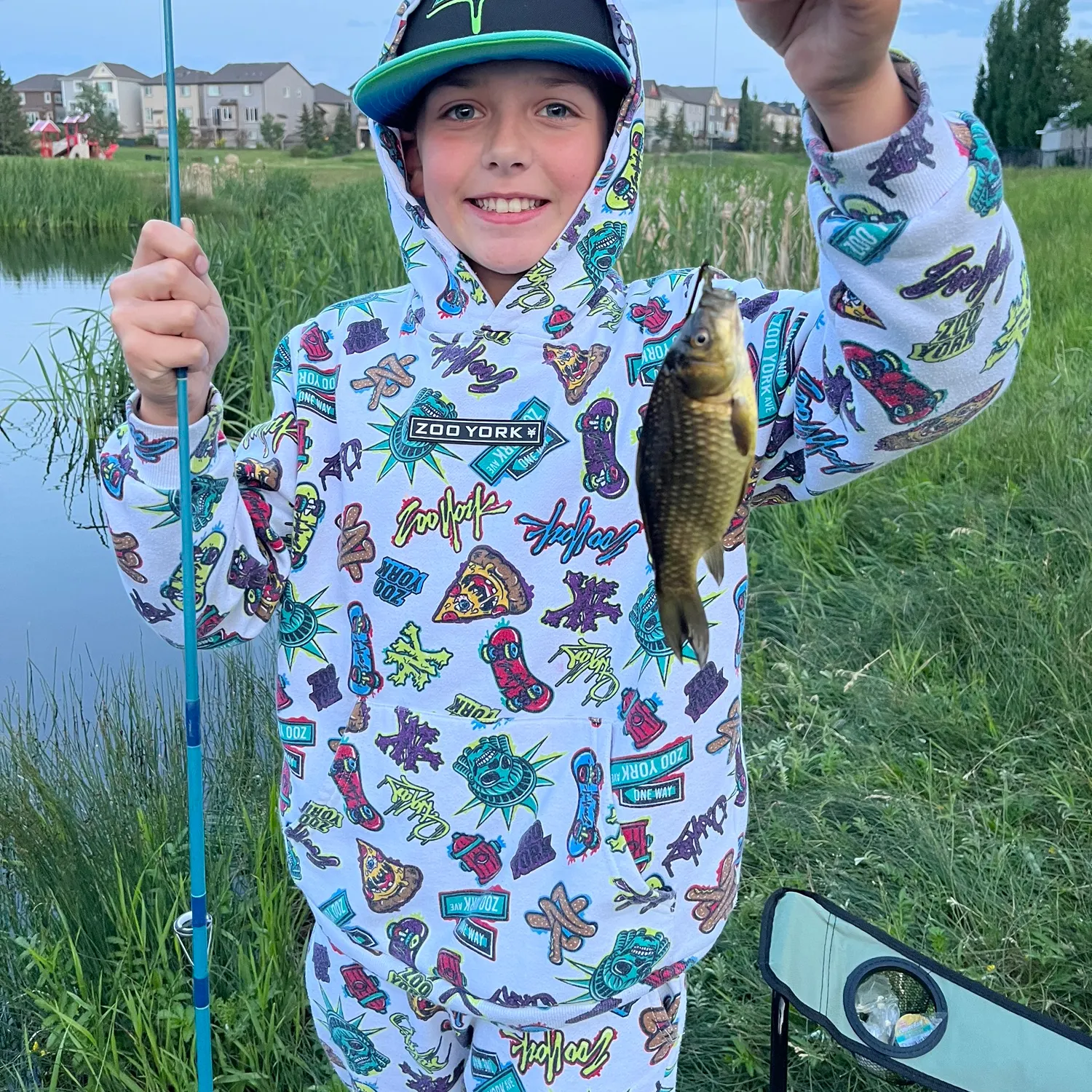 The most recent Prussian carp catches on Fishbrain