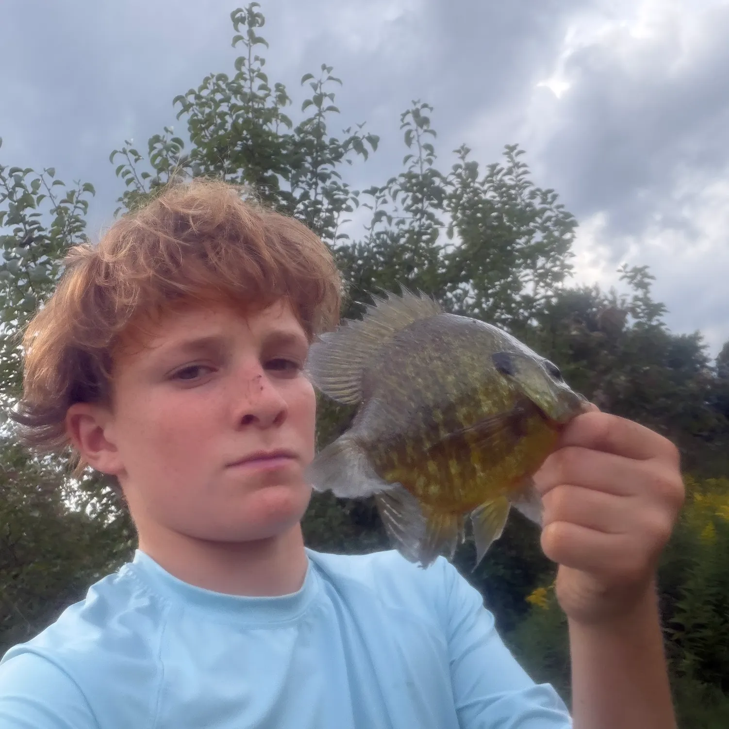 Bluegill caught on Fishbrain