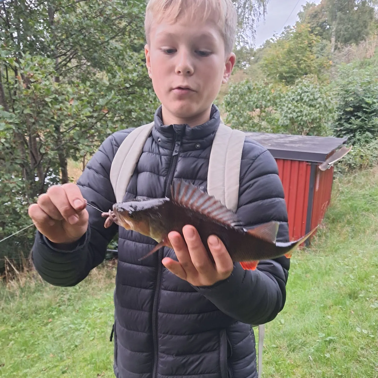 Fish caught on Fishbrain