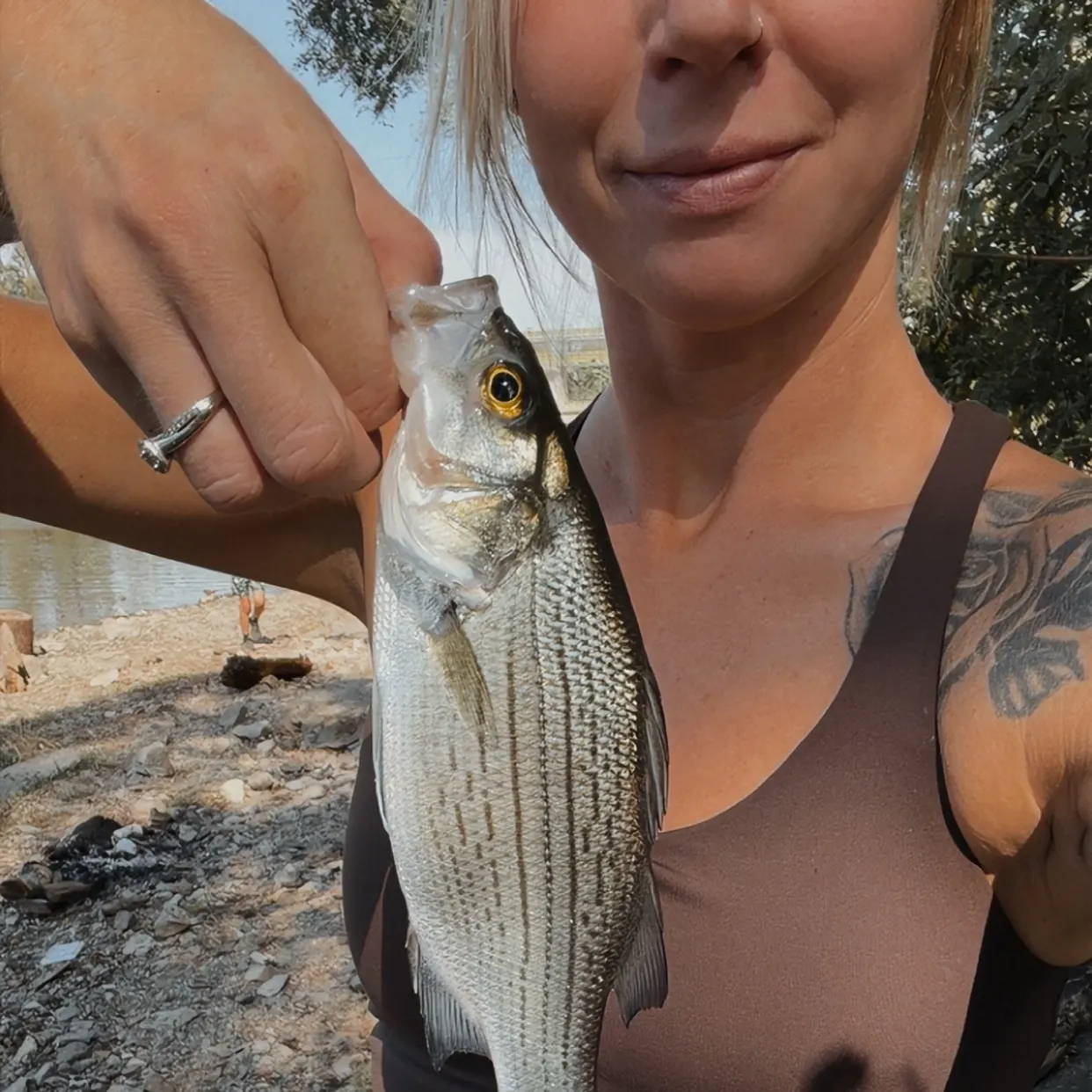 Wiper caught on Fishbrain
