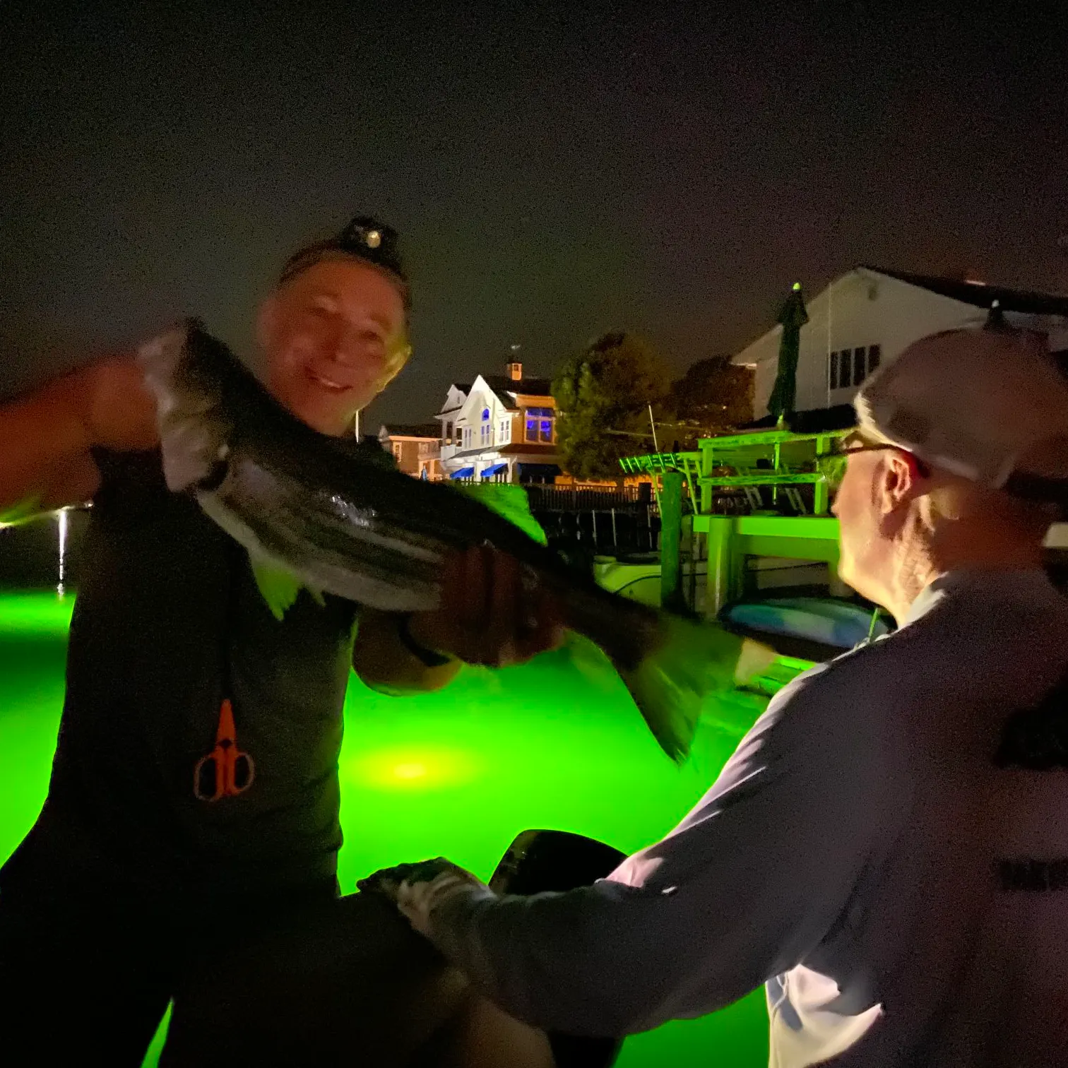 Striped bass caught on Fishbrain