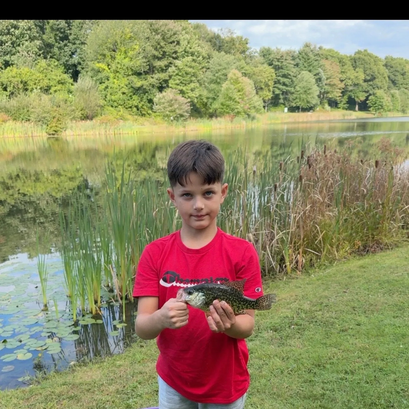 Black crappie caught on Fishbrain