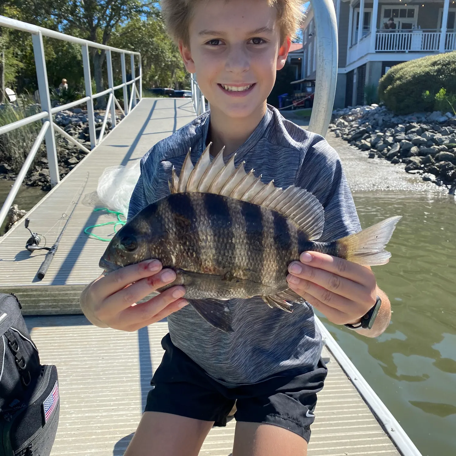 Sheepshead caught on Fishbrain