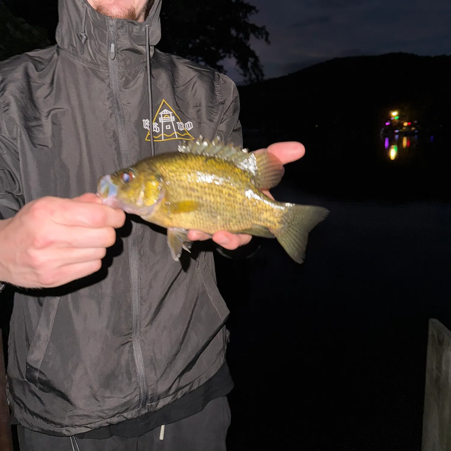 Rock bass caught on Fishbrain
