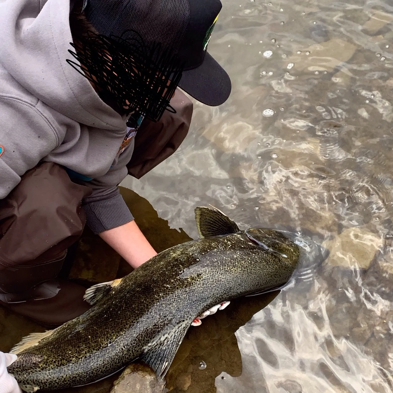 Chinook salmon caught on Fishbrain