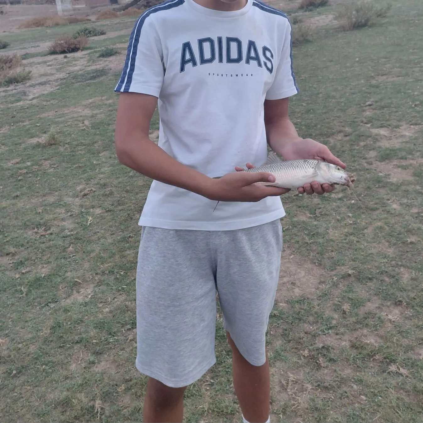 The most recent Andalusian barbel catches on Fishbrain