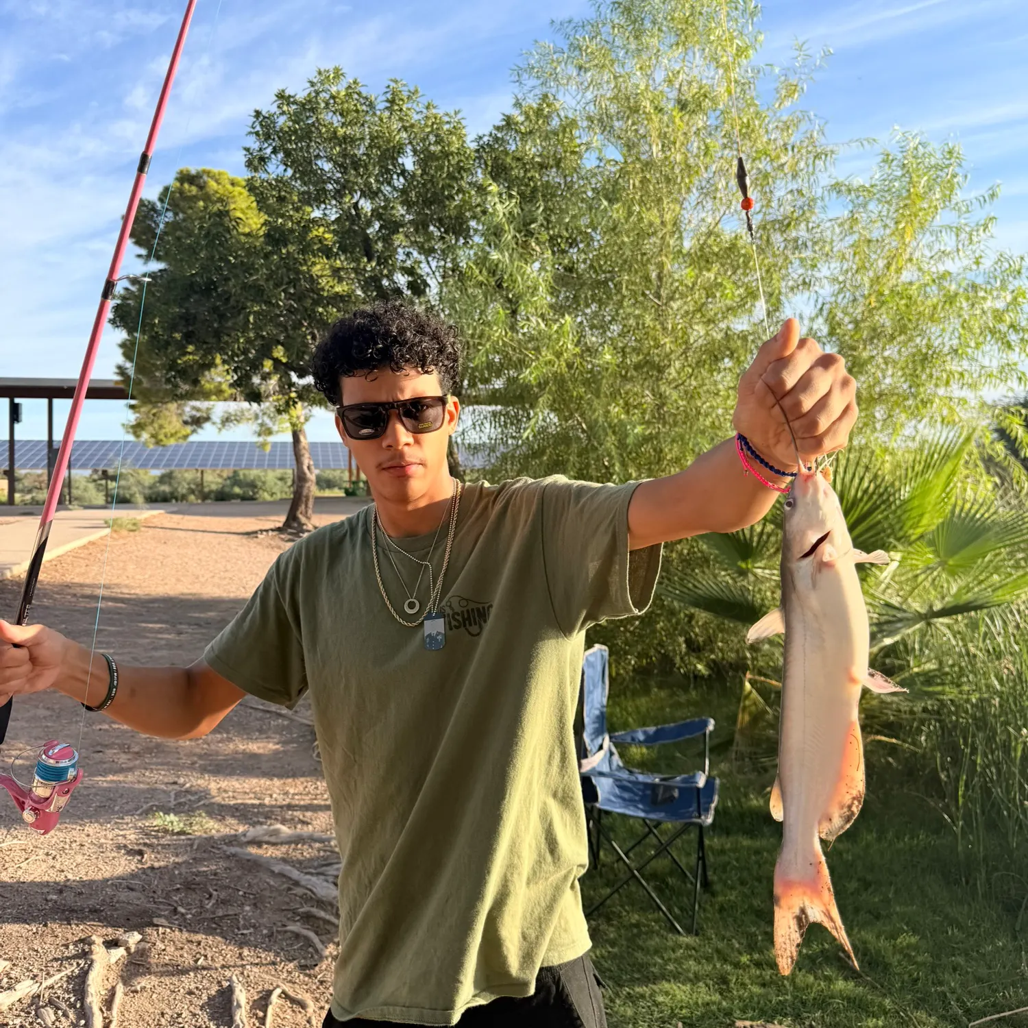 Channel catfish caught on Fishbrain