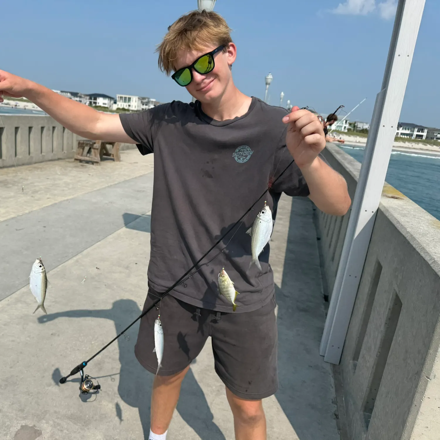 The most recent Scaled herring catches on Fishbrain