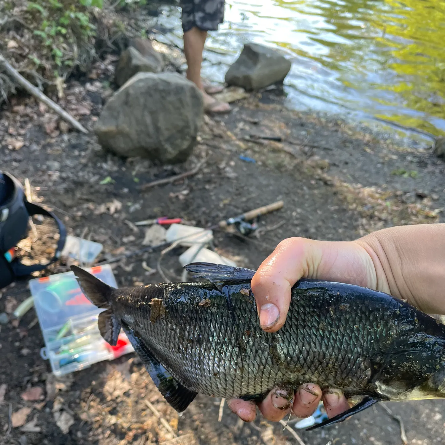 catch