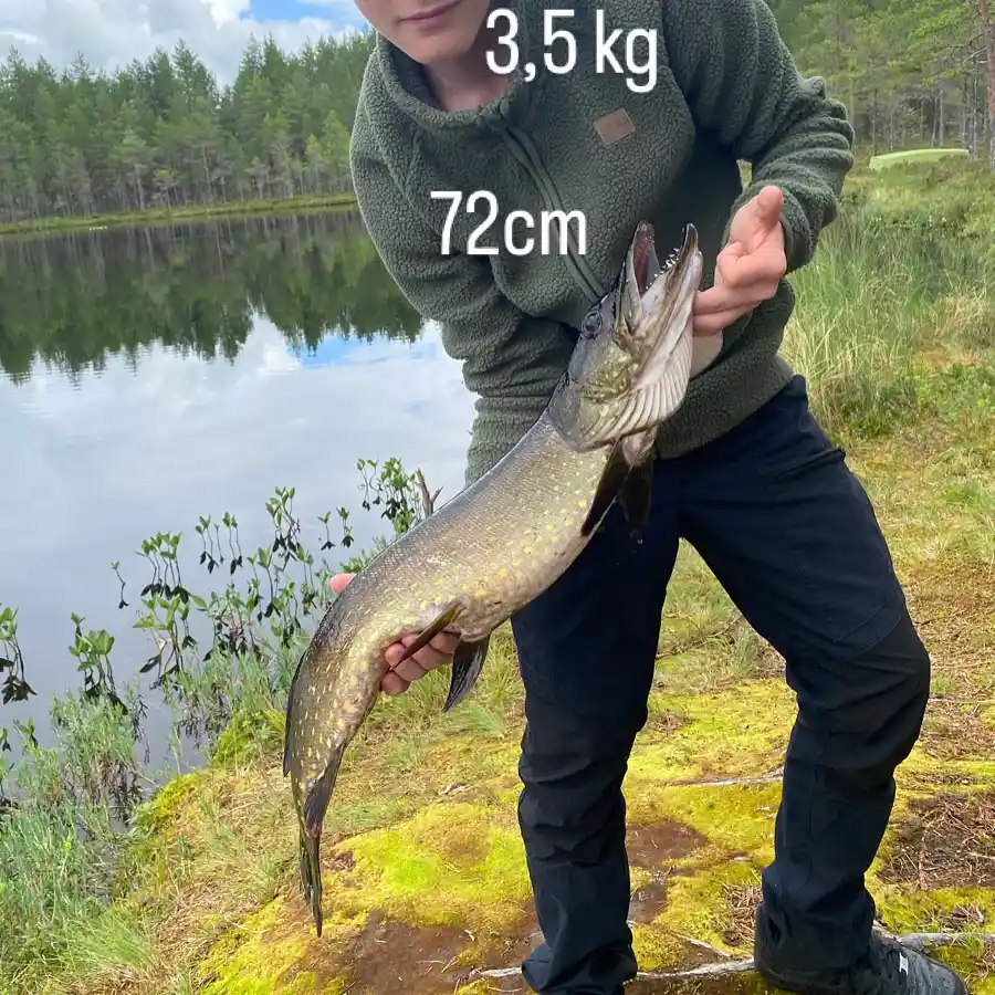 most liked catch image