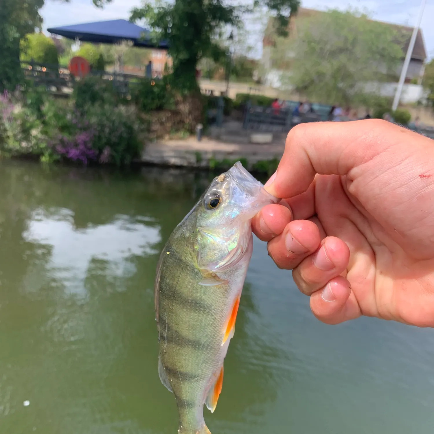 catch