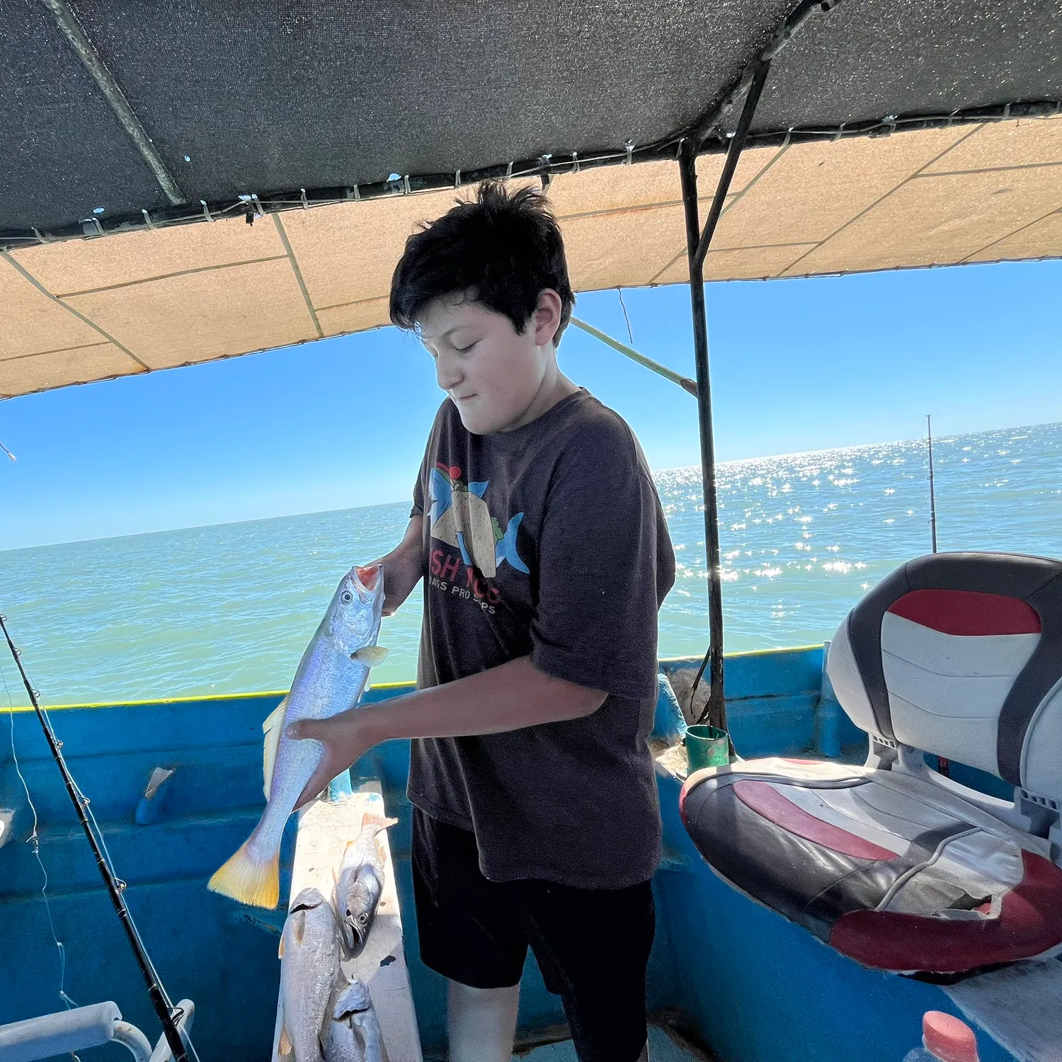 Gulf weakfish caught on Fishbrain