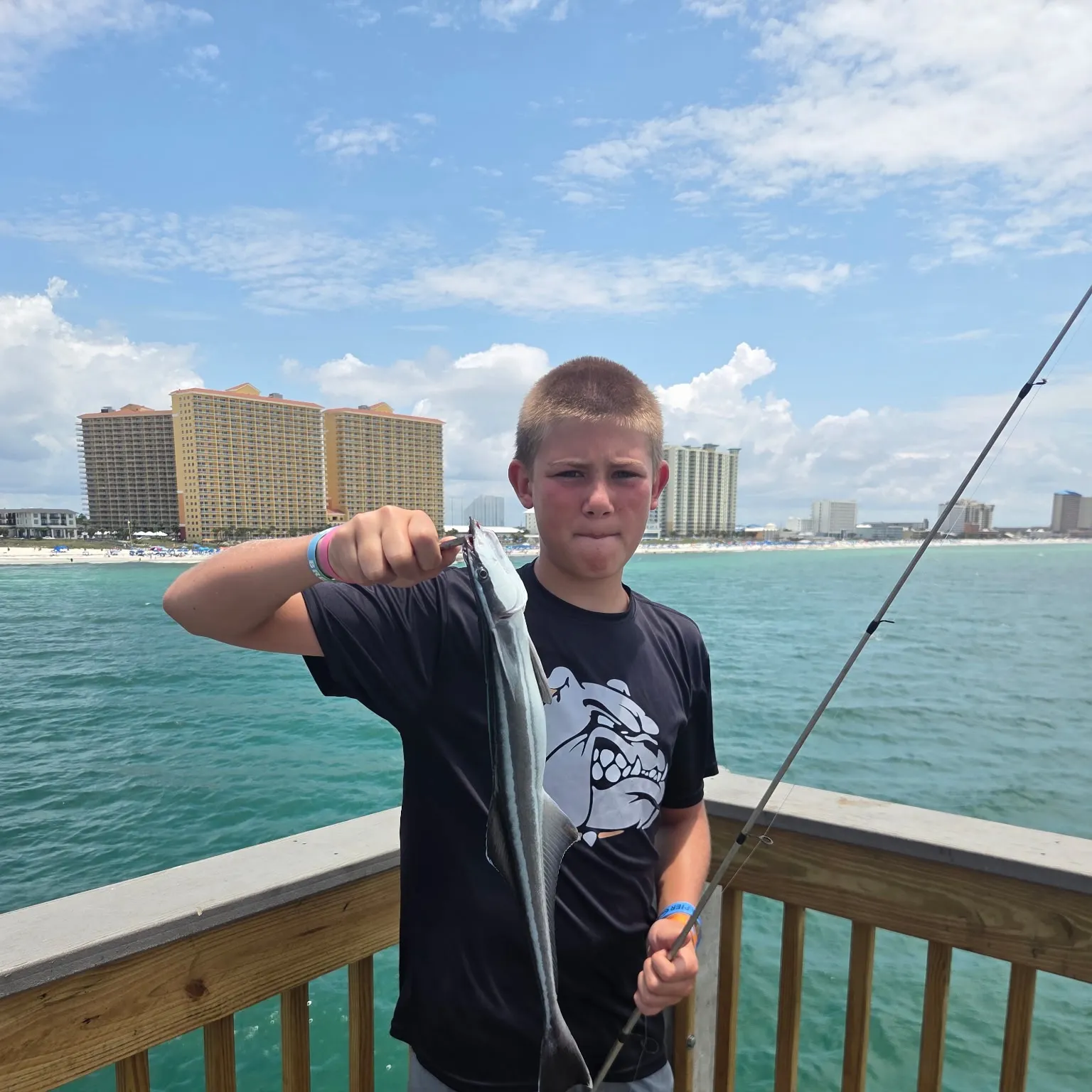 The most recent Live sharksucker catches on Fishbrain