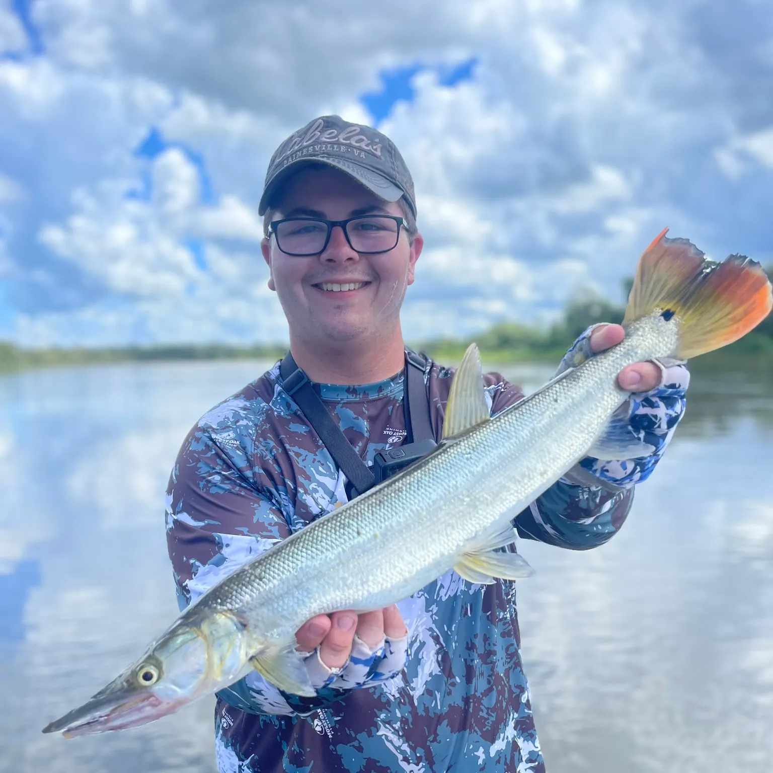 The most recent Bicuda catches on Fishbrain