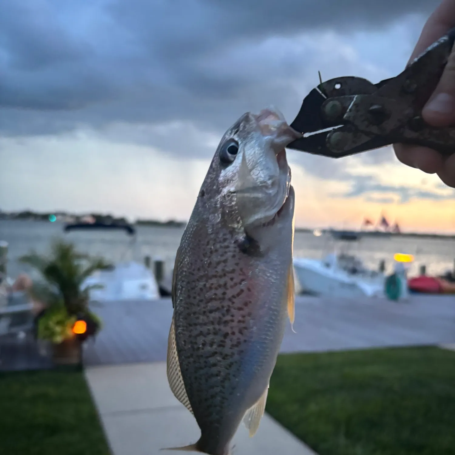 catch