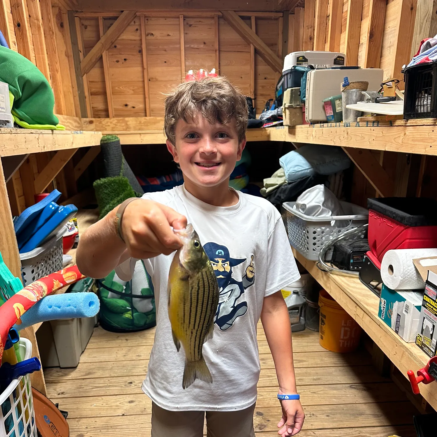 Yellow bass caught on Fishbrain
