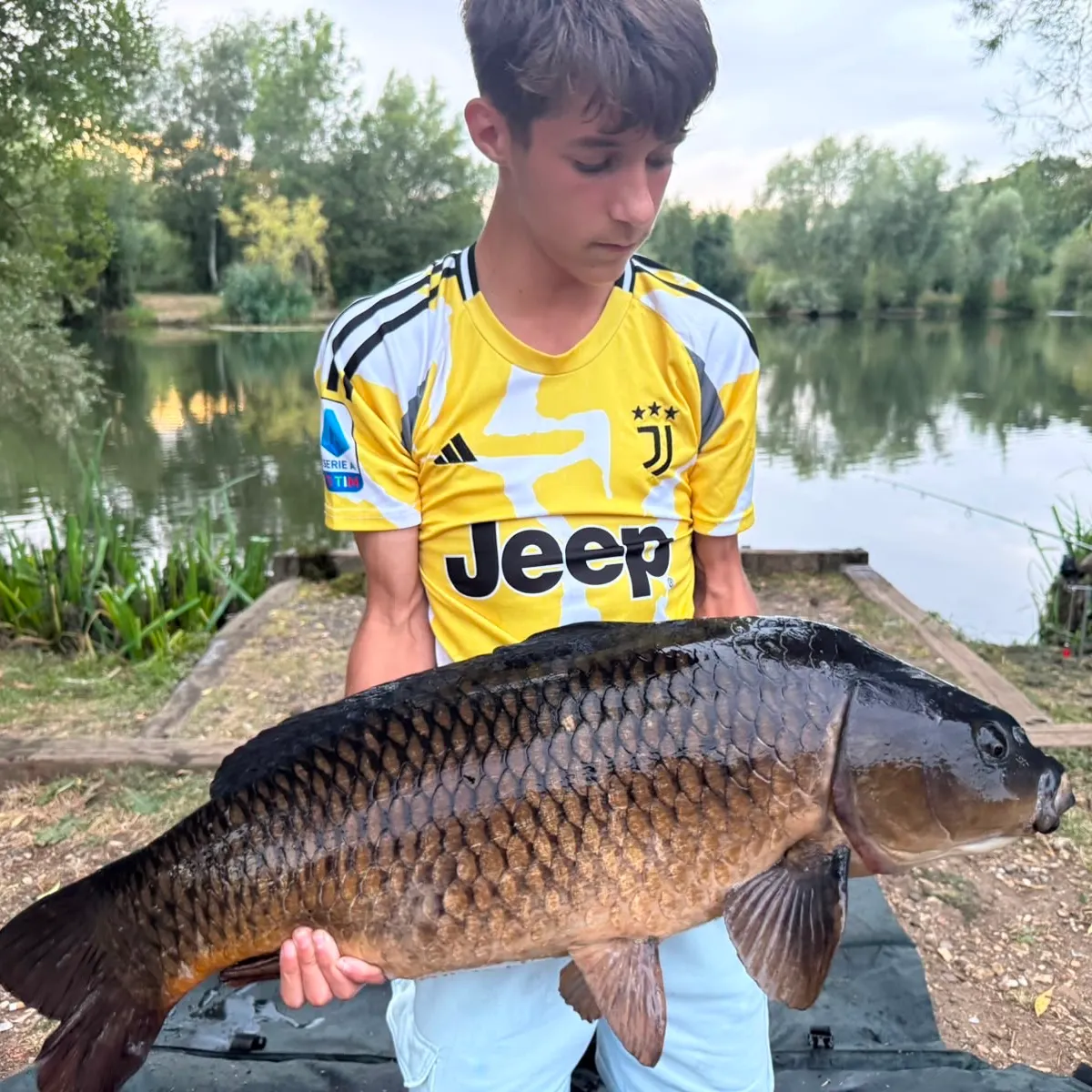 Common carp caught on Fishbrain