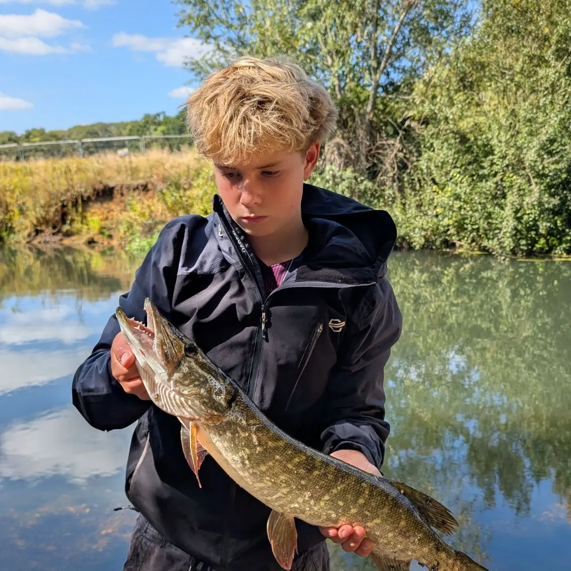 Northern pike caught on Fishbrain