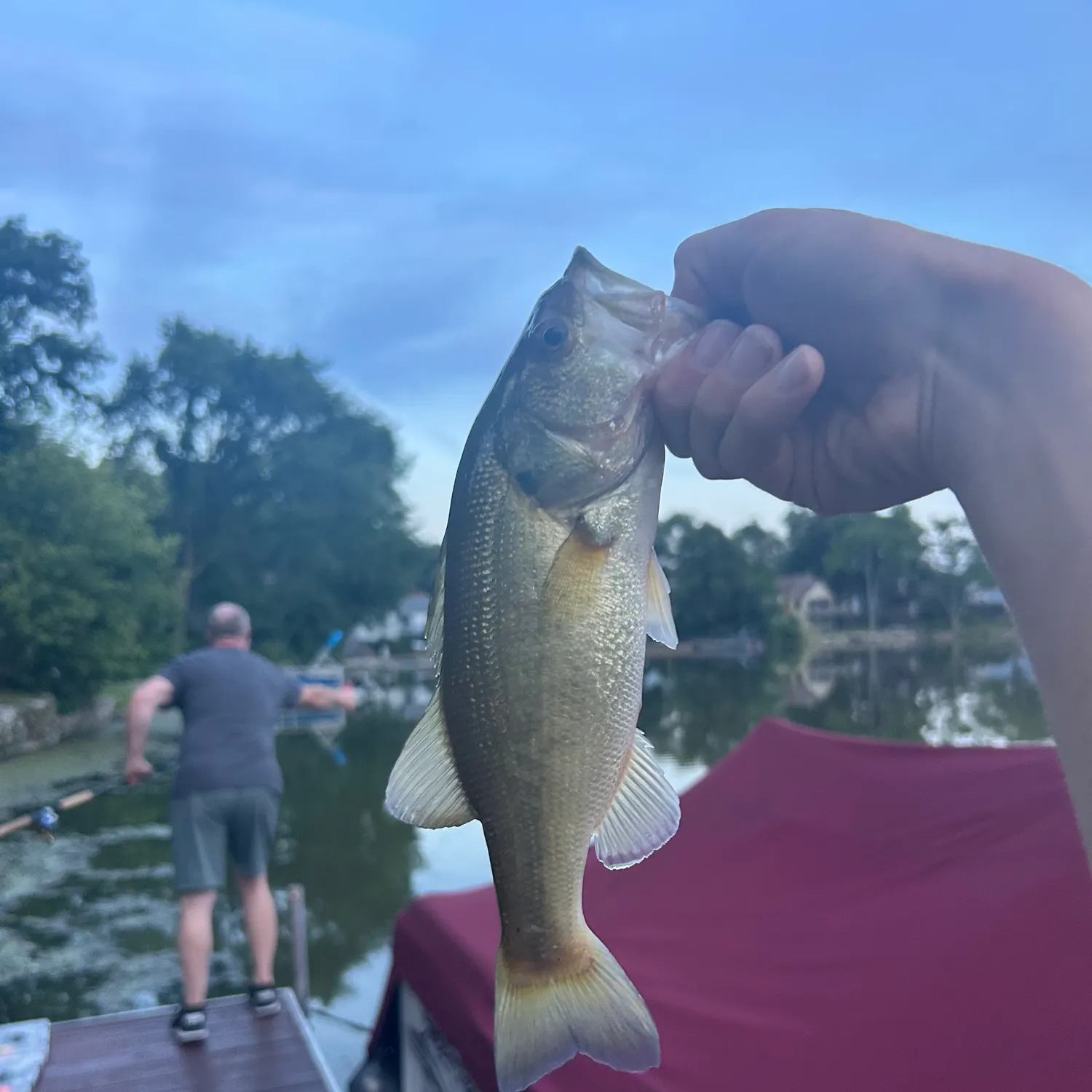 catch