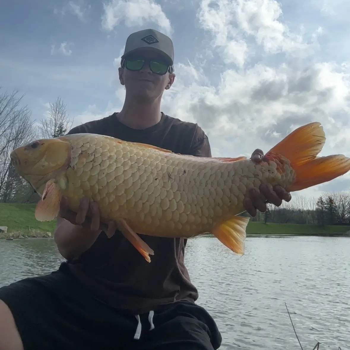 The most recent Koi x common carp catches on Fishbrain