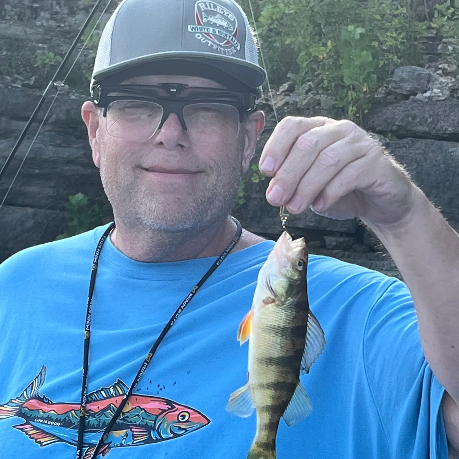 Yellow perch caught on Fishbrain