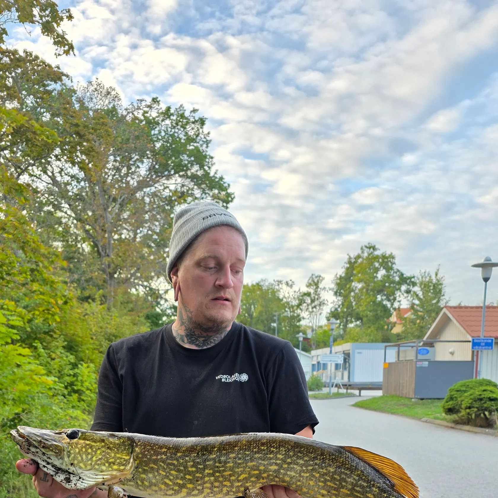 Northern pike caught on Fishbrain