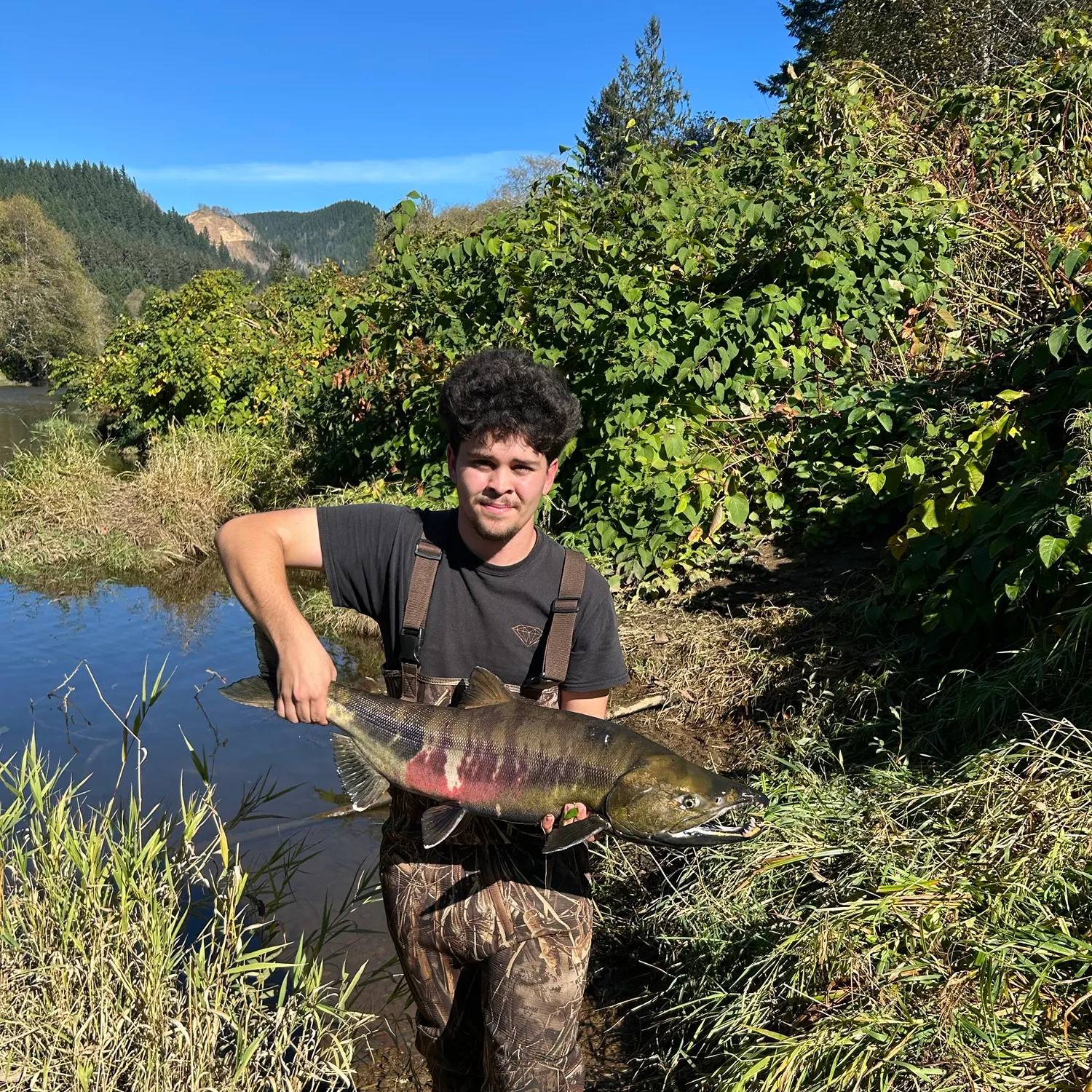Chum salmon caught on Fishbrain