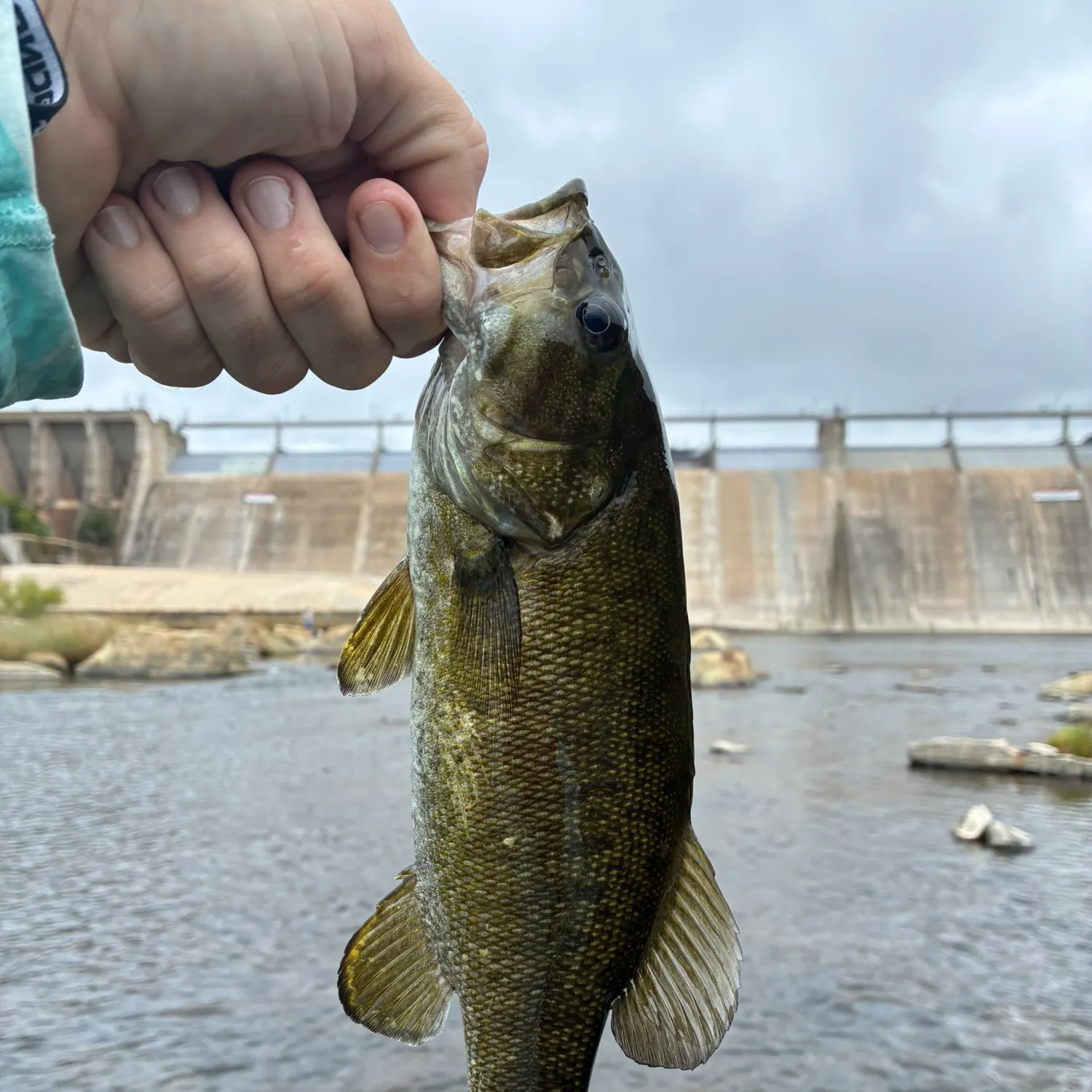Smallmouth bass caught on Fishbrain