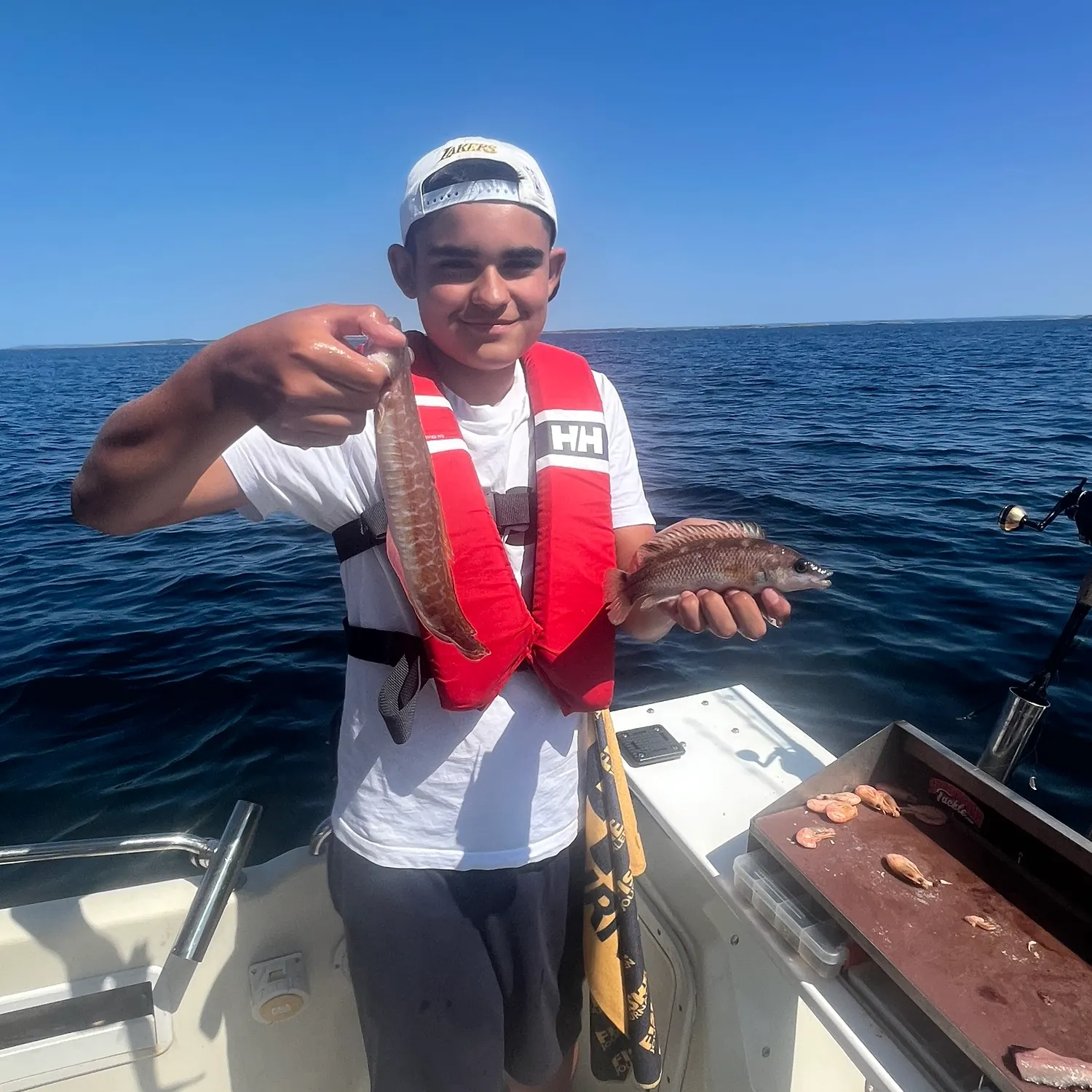 The most recent Scale-rayed wrasse catches on Fishbrain