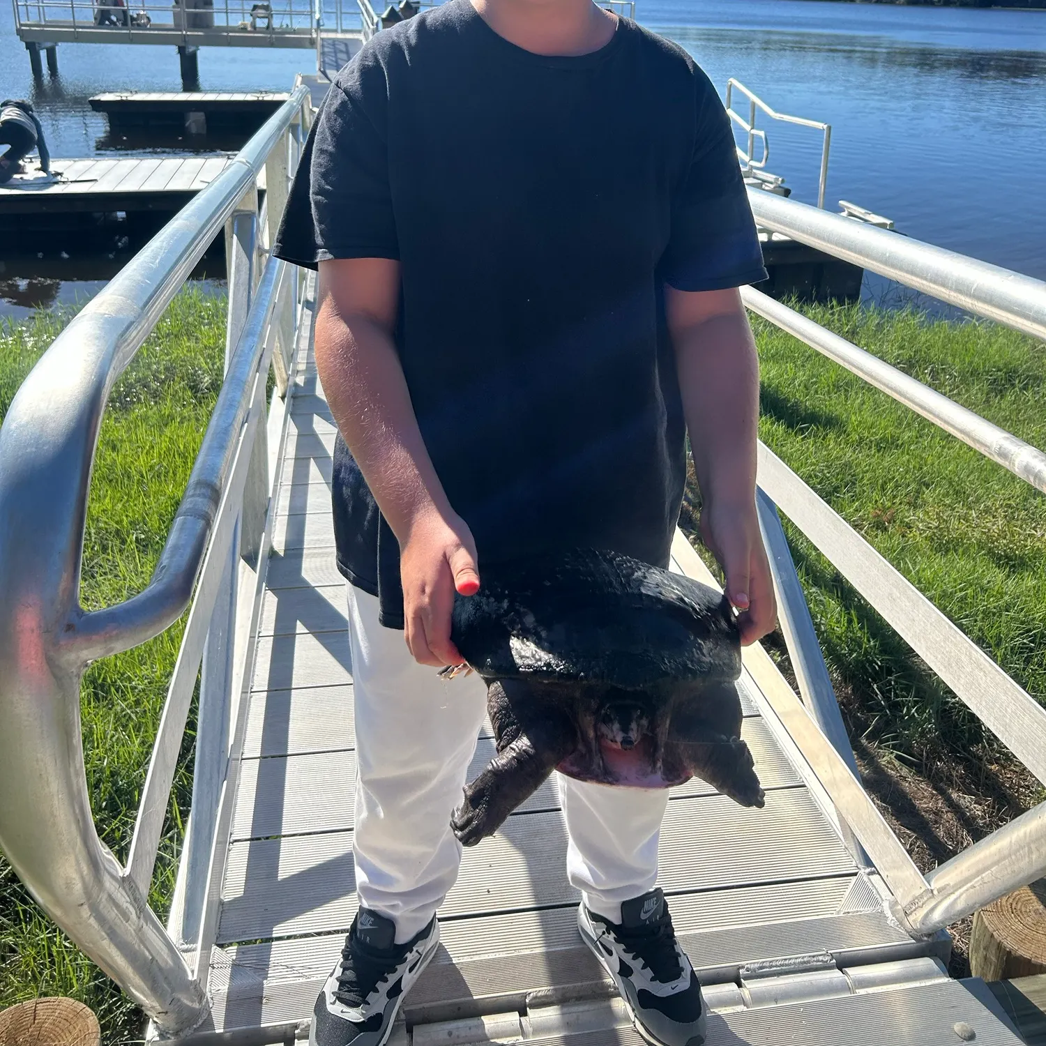 Smooth softshell turtle caught on Fishbrain
