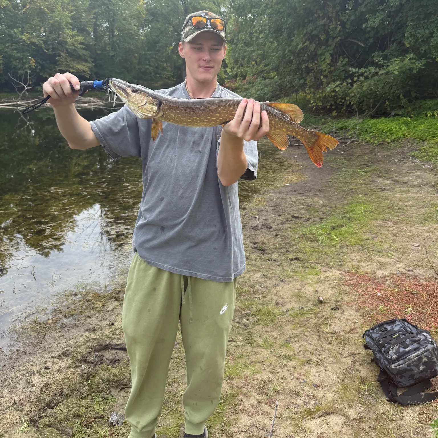 The most recent Northern pike catches on Fishbrain