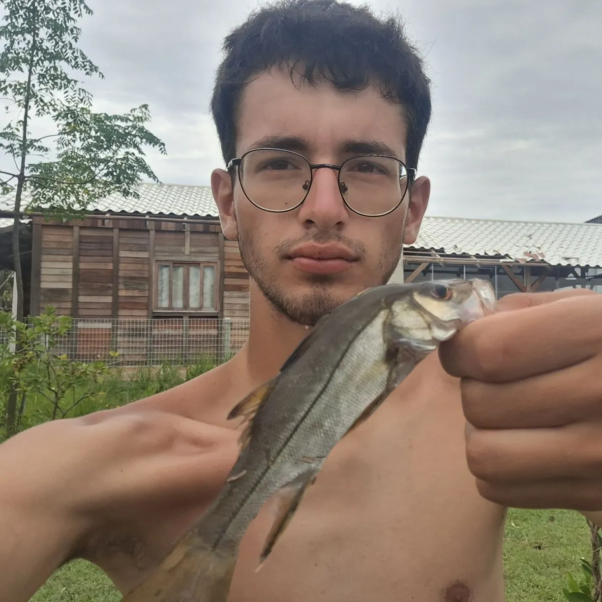 The most recent Fat snook catches on Fishbrain