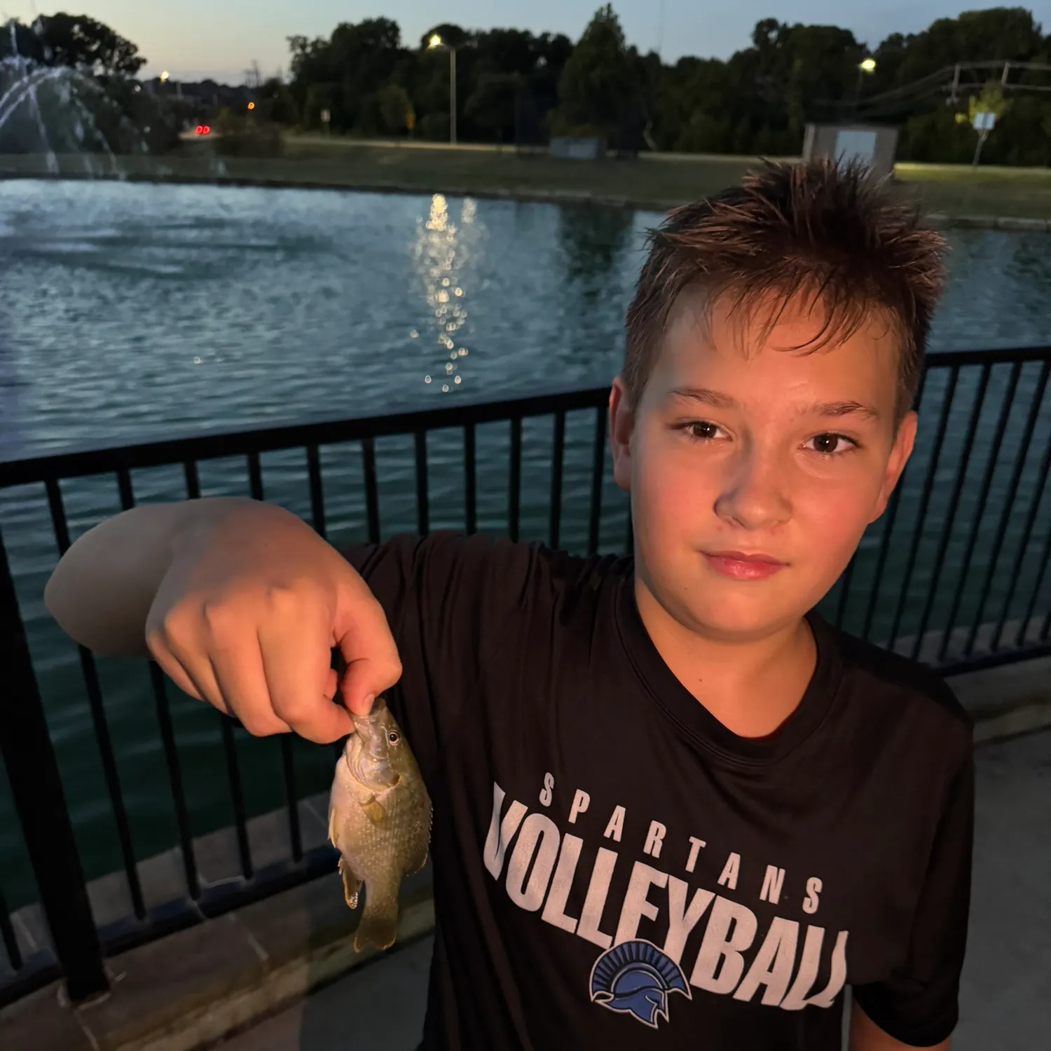 Wargill hybrid caught on Fishbrain