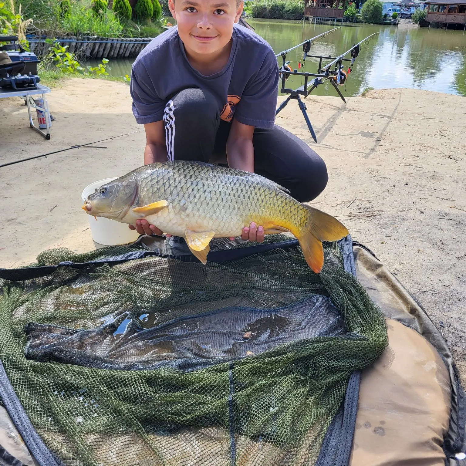Common carp caught on Fishbrain