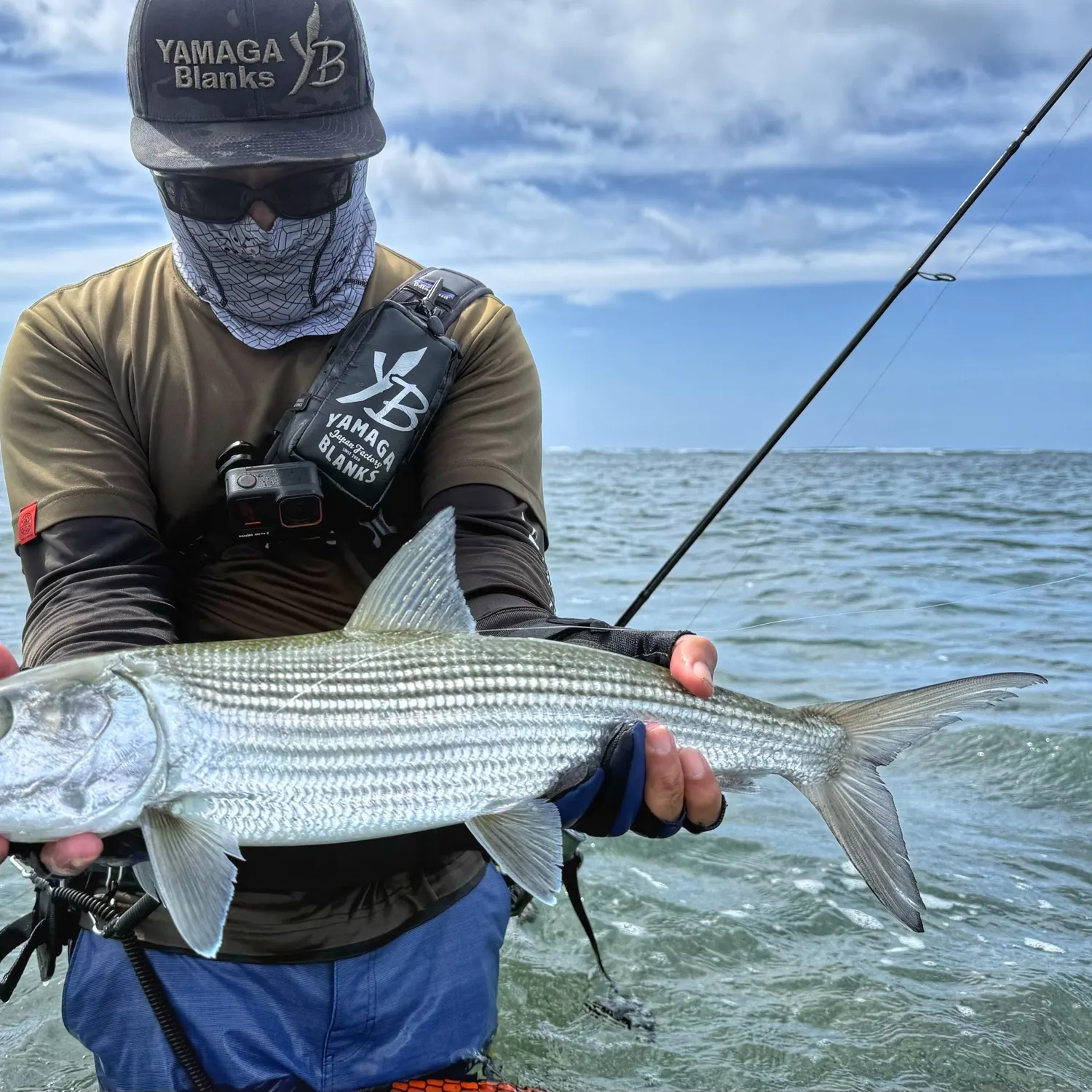 The most recent Roundjaw bonefish catches on Fishbrain