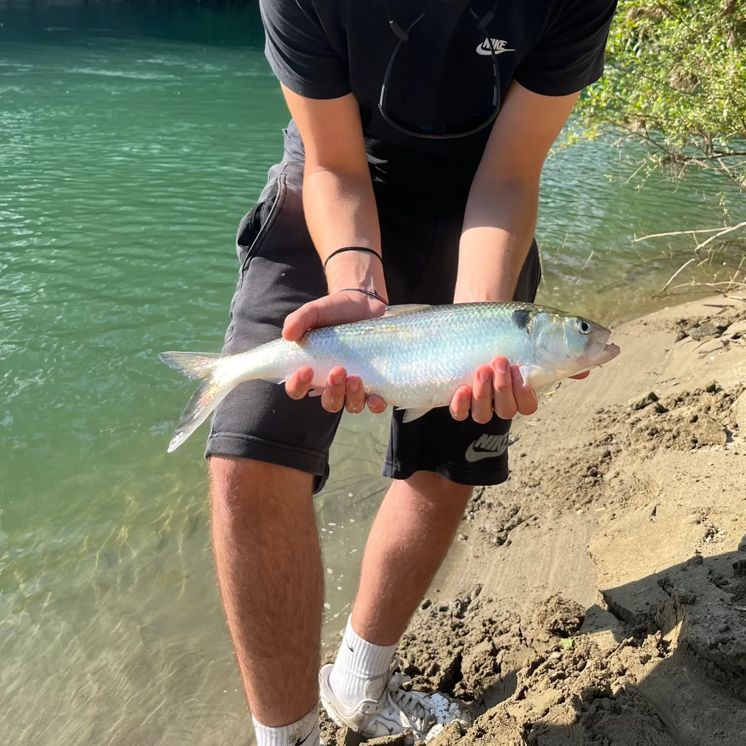 most liked catch image