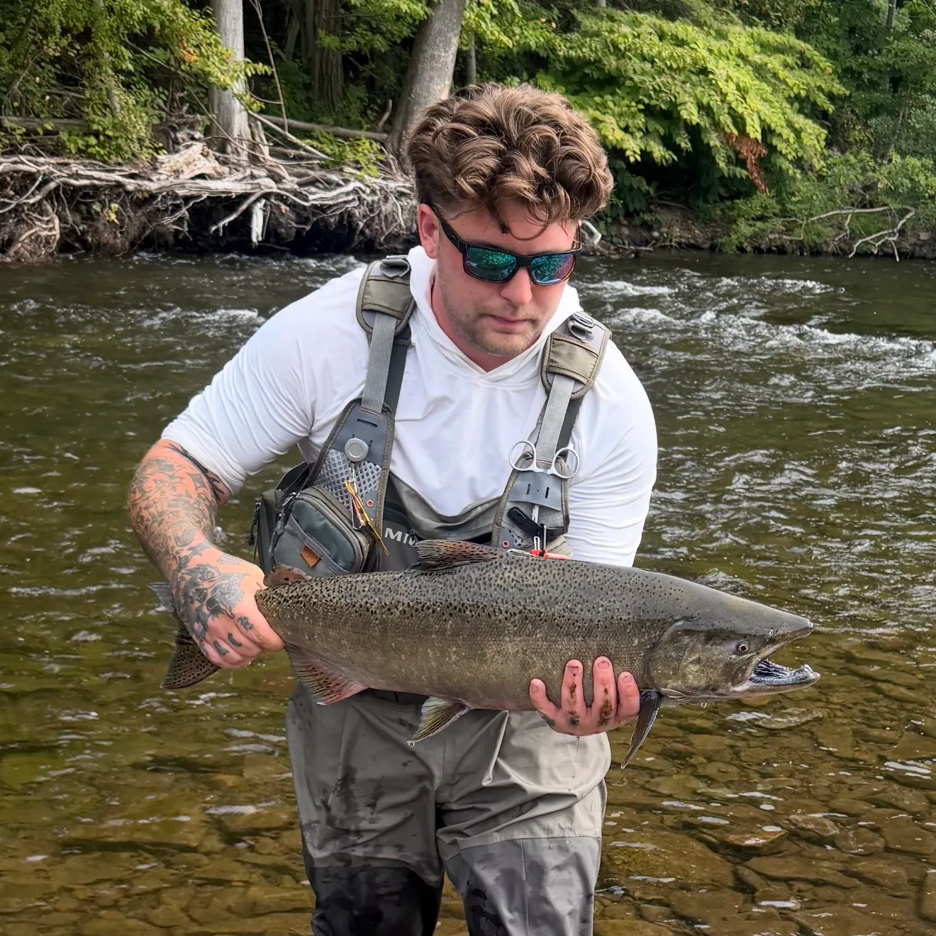 Chinook salmon caught on Fishbrain