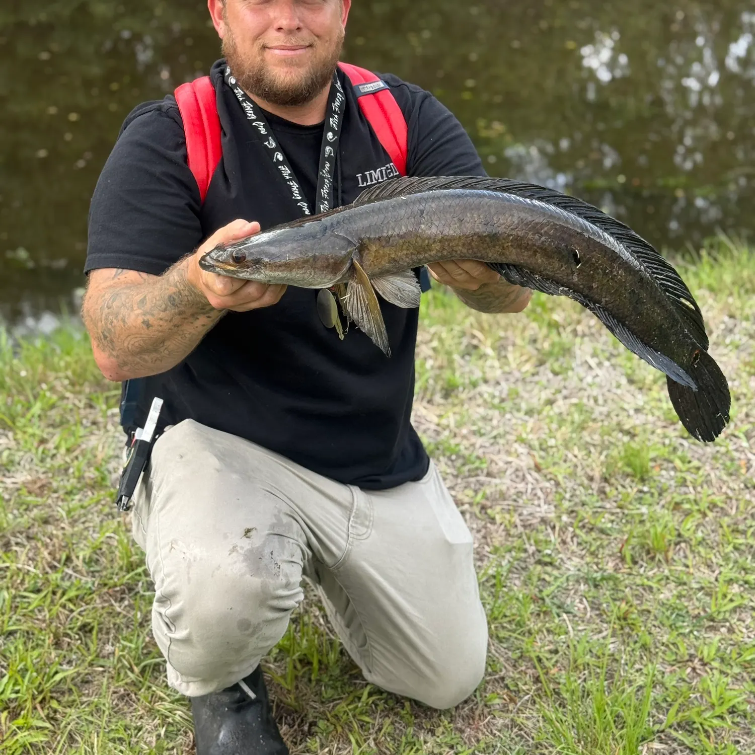 The most recent Bullseye snakehead catches on Fishbrain