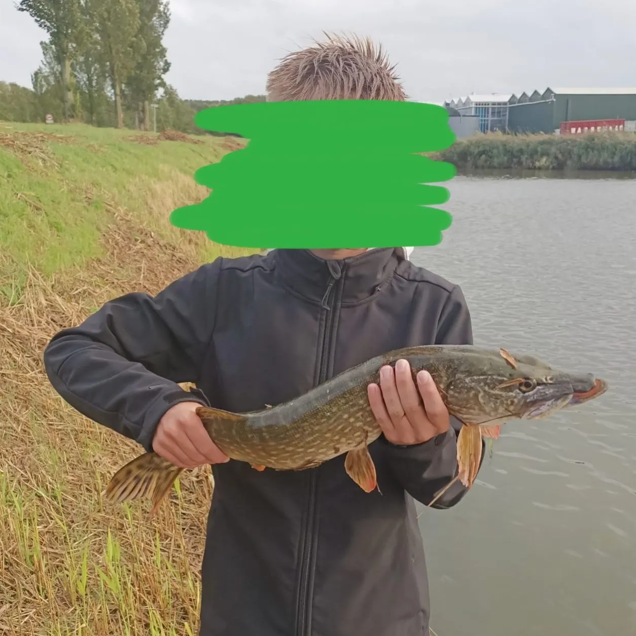 Northern pike caught on Fishbrain