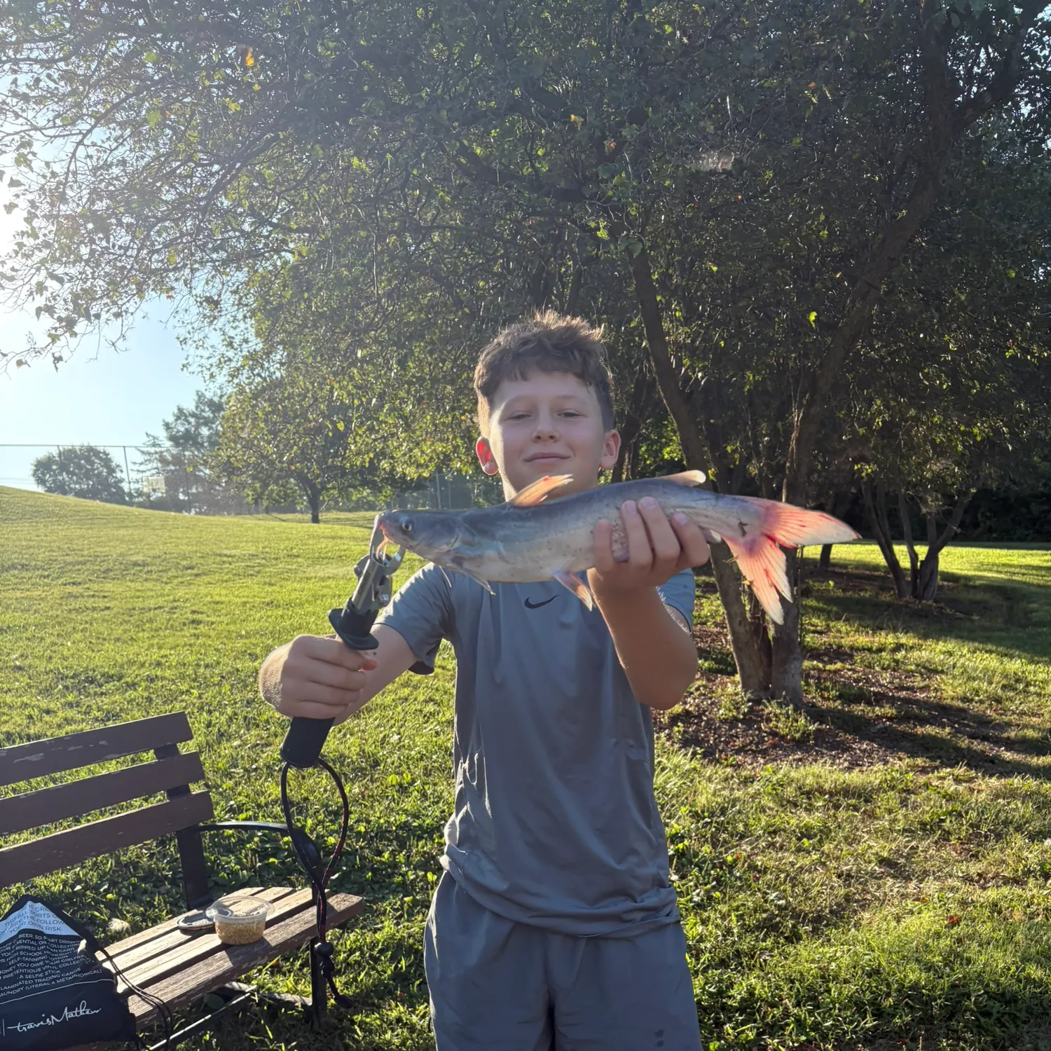 Channel catfish caught on Fishbrain
