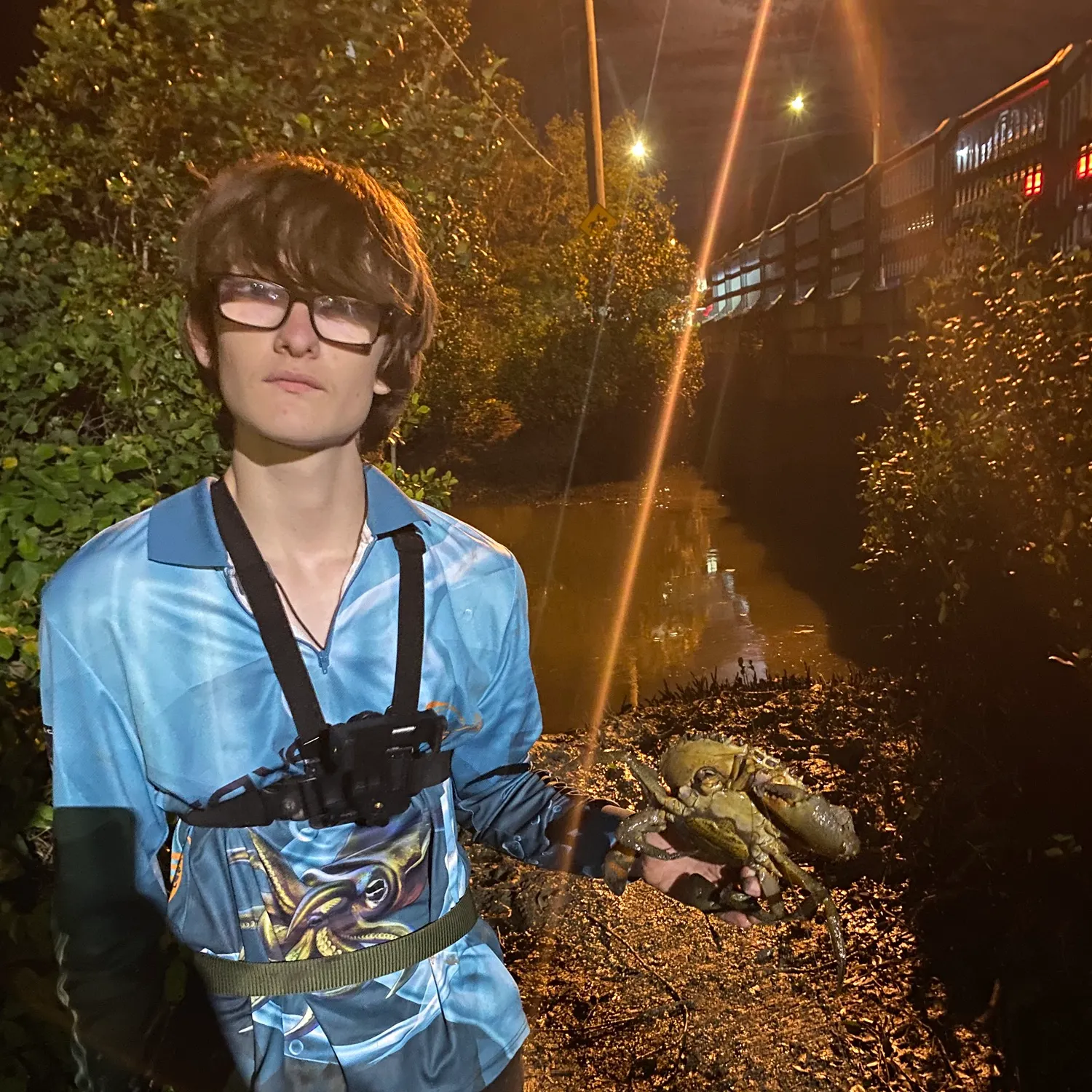The most recent Giant mud crab catches on Fishbrain