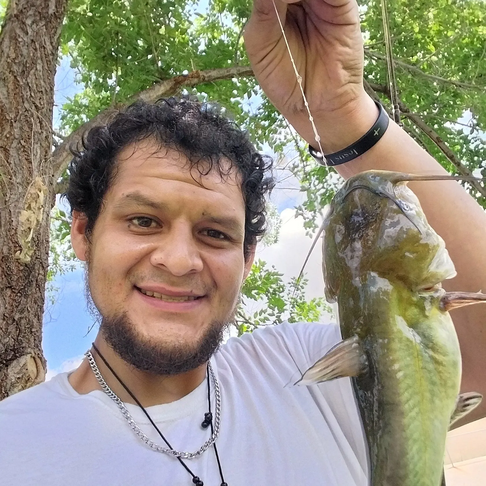 Channel catfish caught on Fishbrain