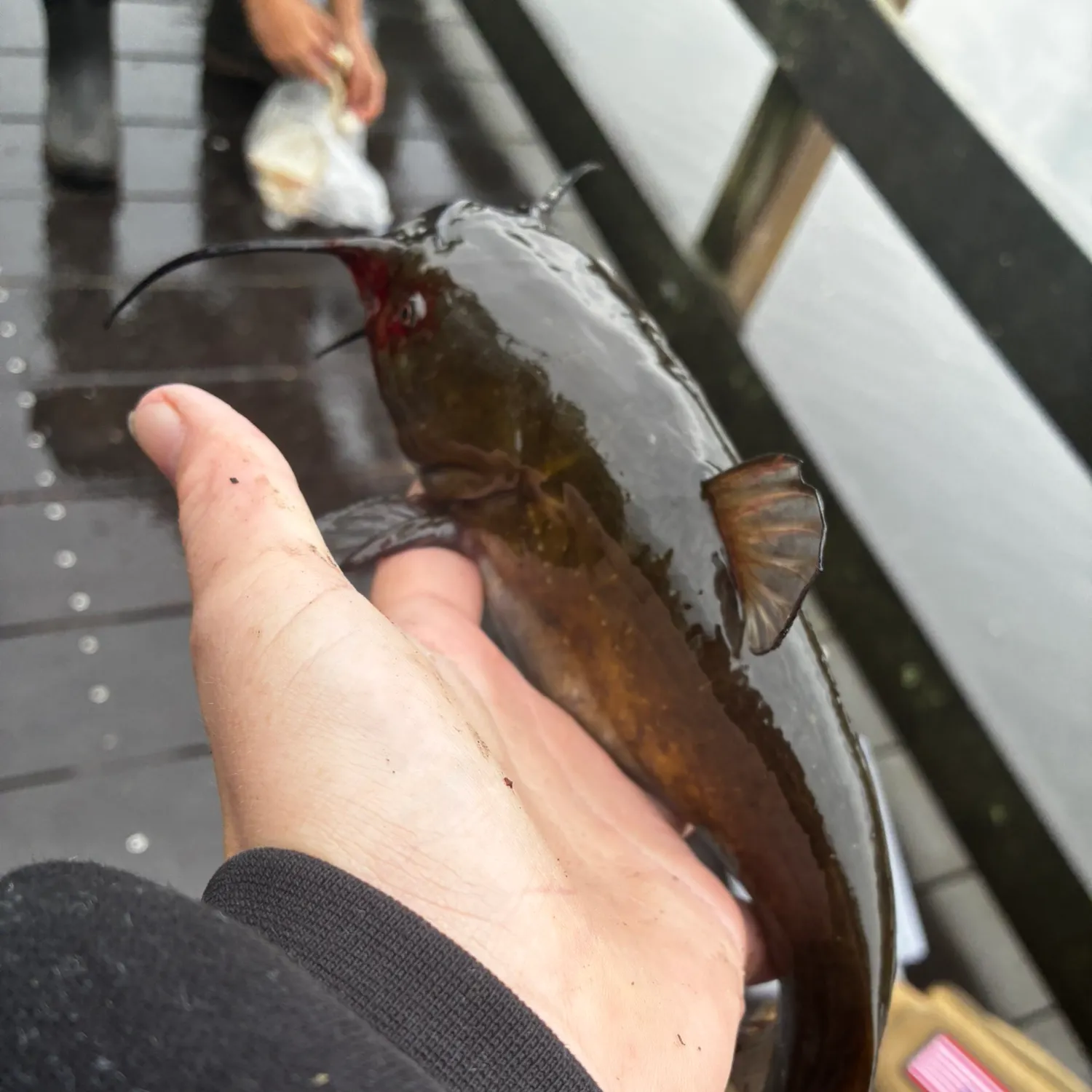 catch