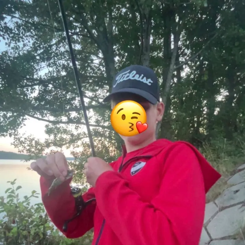 European perch caught on Fishbrain