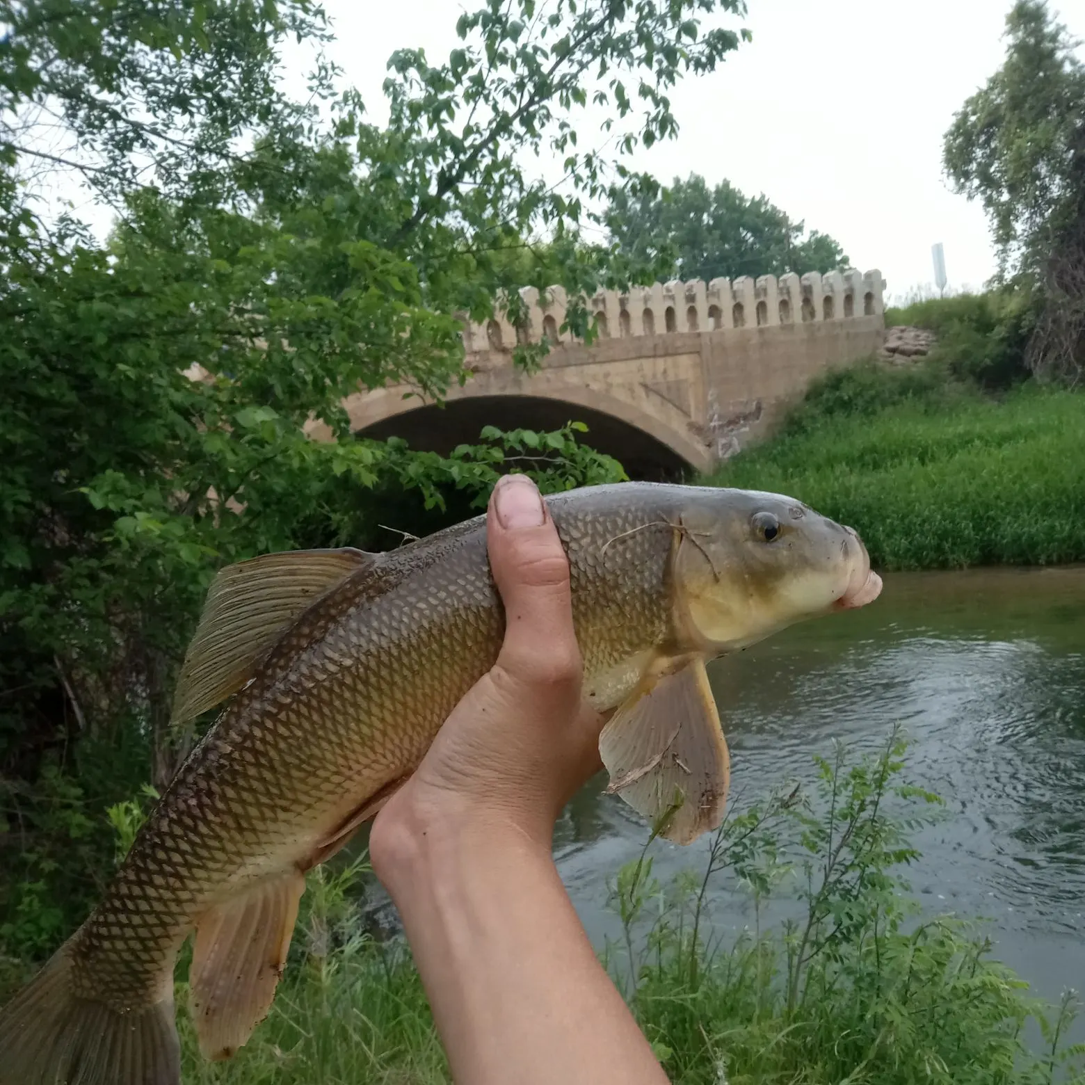 angler catch