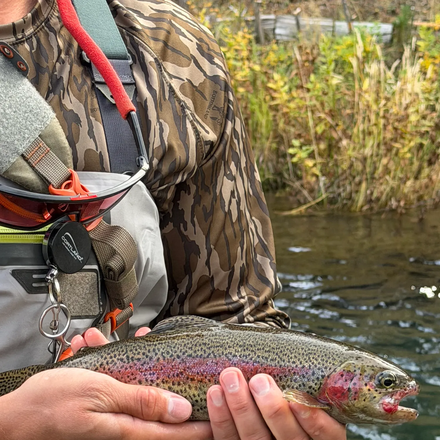 Rainbow trout caught on Fishbrain