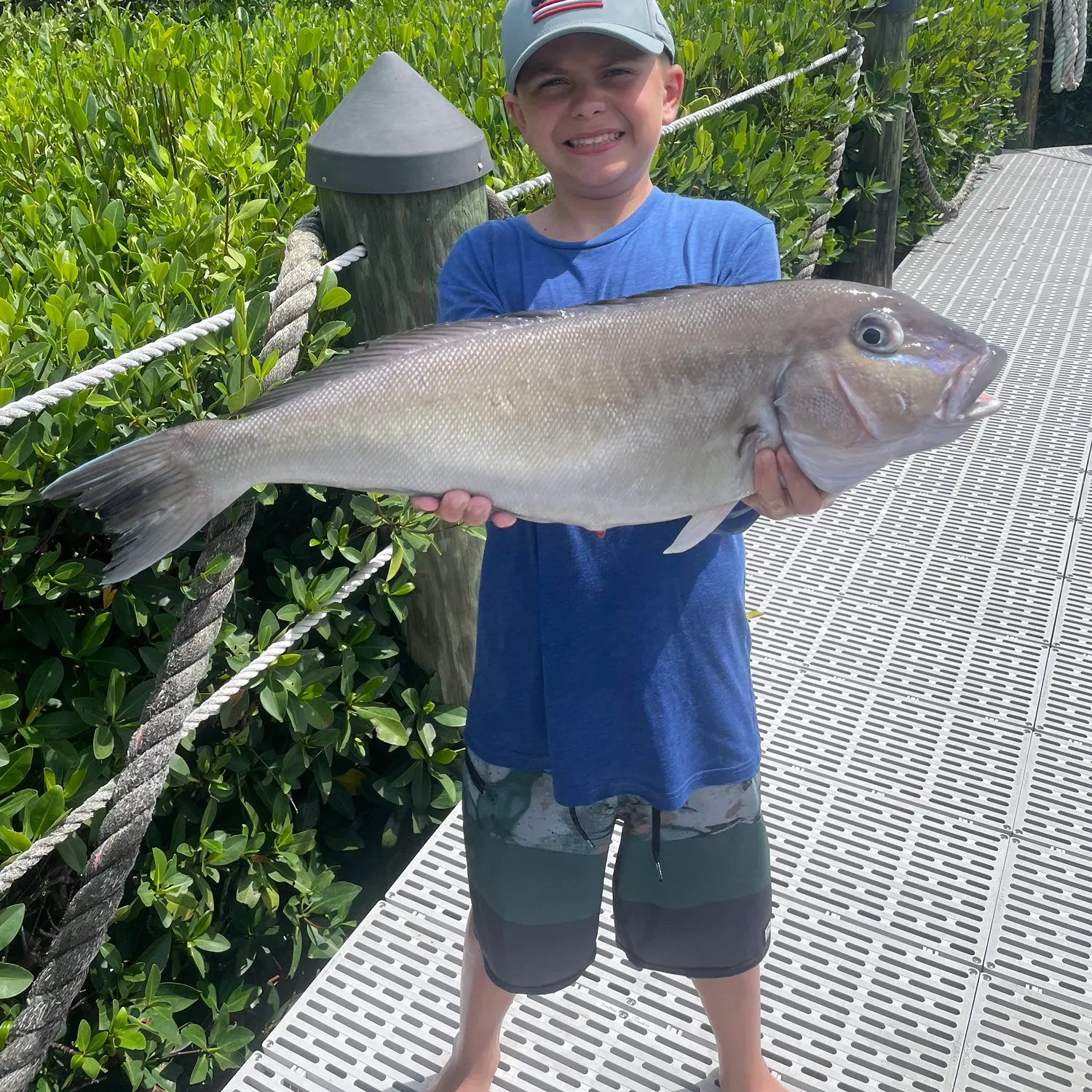 The most recent Grey tilefish catches on Fishbrain