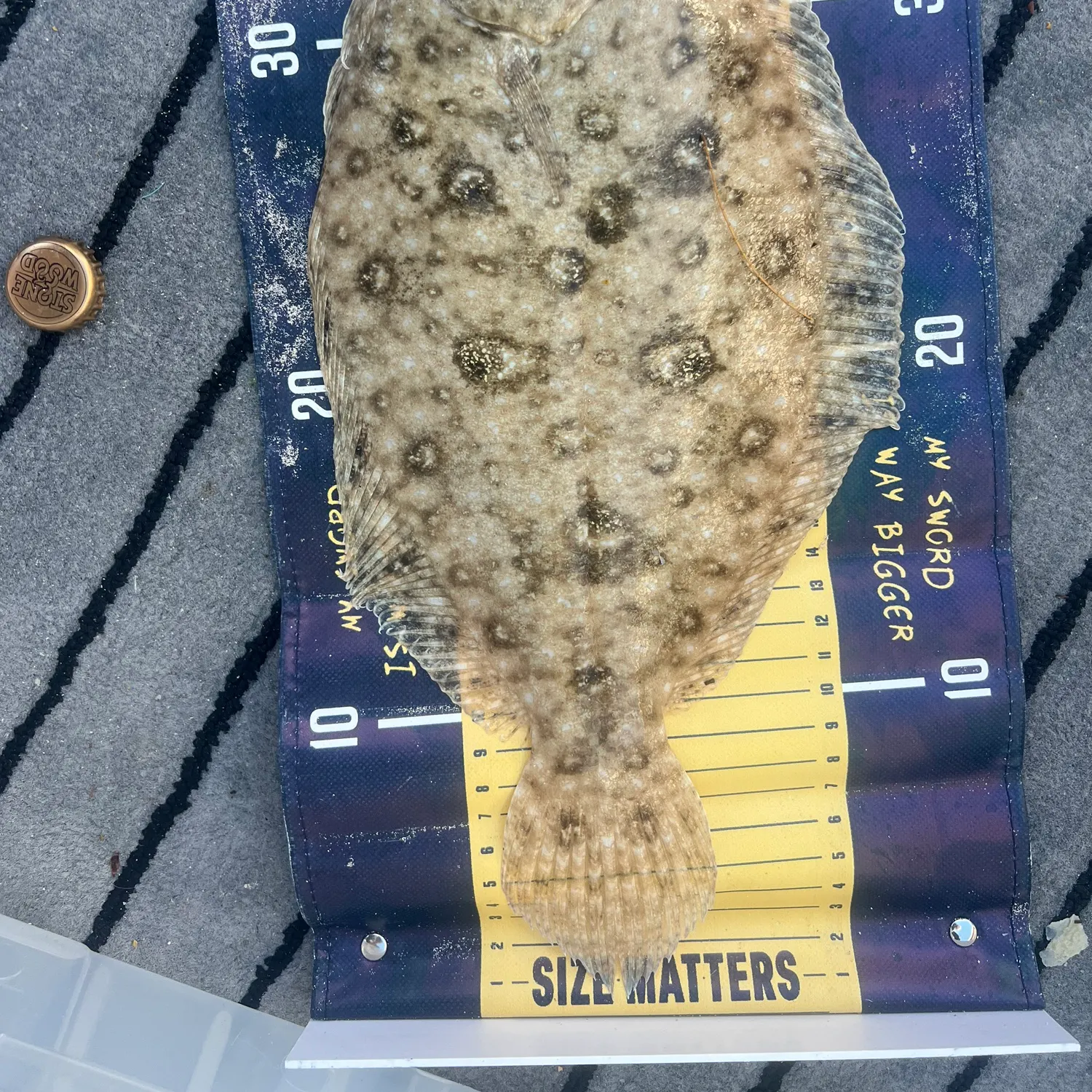 The most recent Largetooth flounder catches on Fishbrain